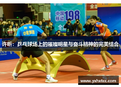 许昕：乒乓球场上的璀璨明星与奋斗精神的完美结合