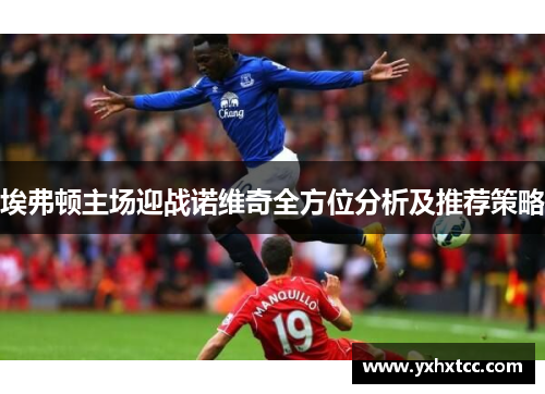 埃弗顿主场迎战诺维奇全方位分析及推荐策略