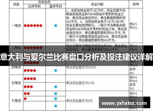 意大利与爱尔兰比赛盘口分析及投注建议详解